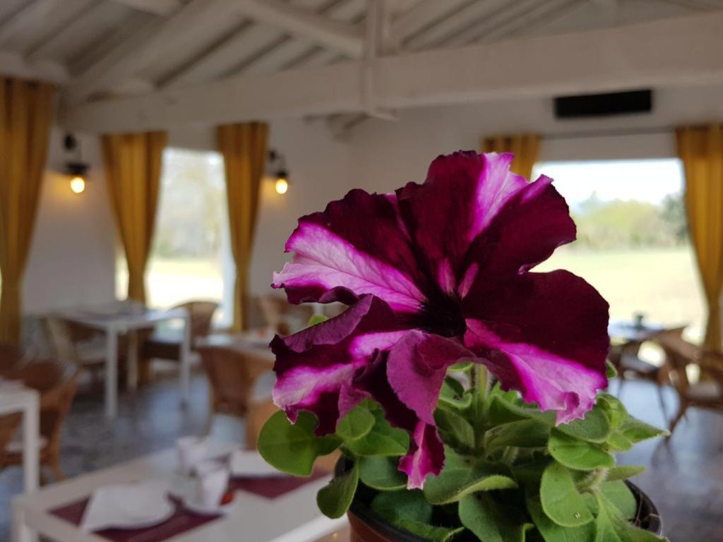 Hotel Valle del Oja Casalarreina Esterno foto